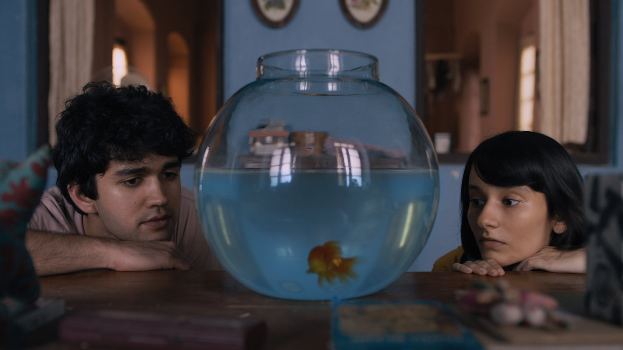 What are the Odds? (2019) - IMDb