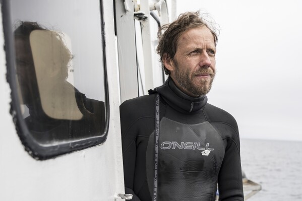 Douglas McCauley, director of the University of California Santa Barbara's Benioff Ocean Science Laboratory, poses for a portrait after returning from snorkeling in Channel Islands, Calif., Thursday, May 1, 2025. (AP Photo/Annika Hammerschlag)