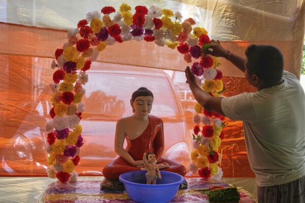 A decorator arranges flowers around the statue of Buddha at a temple on the occasion of Buddha Purnima festival in Kolkata, India, Monday, May 12, 2025. (AP Photo/Bikas Das)