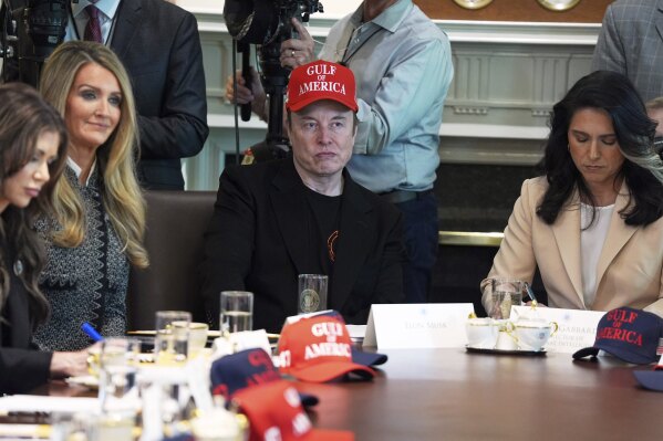 Elon Musk, center, listens as President Donald Trump speaks during a cabinet meeting at the White House, April 30, 2025, in Washington. (AP Photo/Evan Vucci, File)